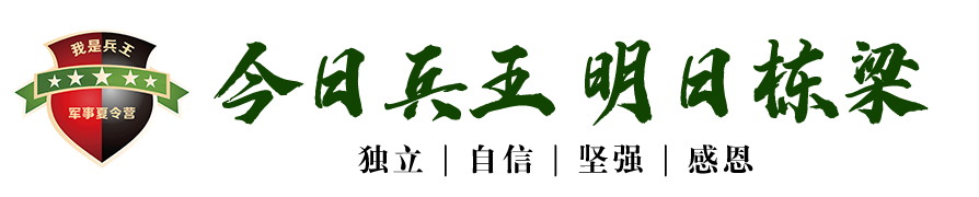 我是兵王军事夏令营